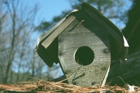 fletcher memorial home for birds