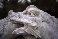 dragon detail one