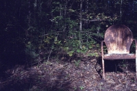 bucolic resting place