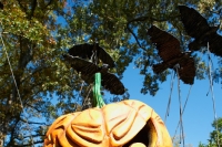 pumpkin head of doom
