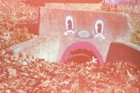 decorated culvert