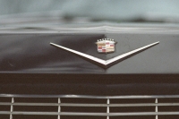 standard of the world seven