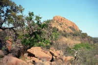 small outcropping one