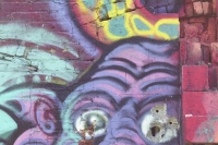 disturbing creature
