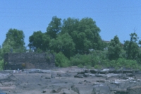 resting on the shore