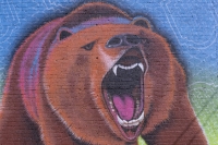 angry bear