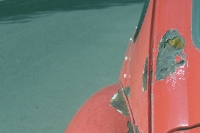red bug two