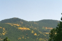 aspens three