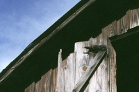 a literary barn detail three