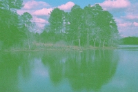 wandering in nature five