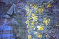 street art versus daffodils