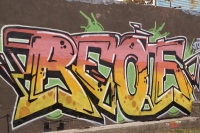 reor