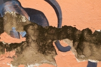 el toro detail