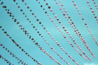 decorating the sky