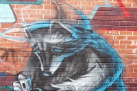 artistic raccoon