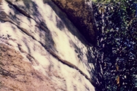 striated